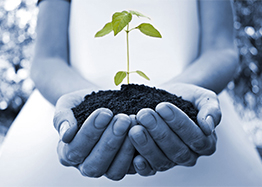 Lịch sử phát triển